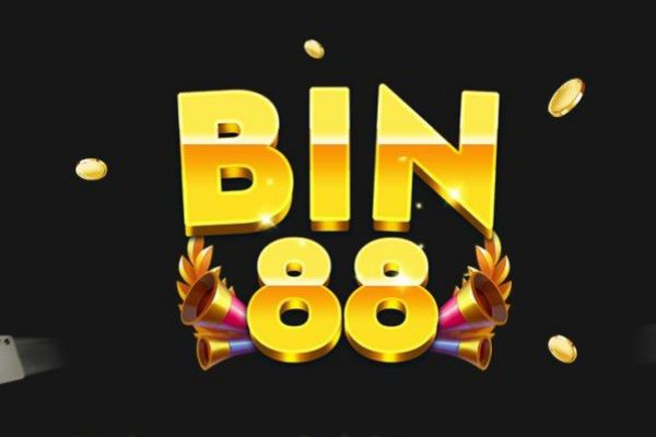 bin88-vin